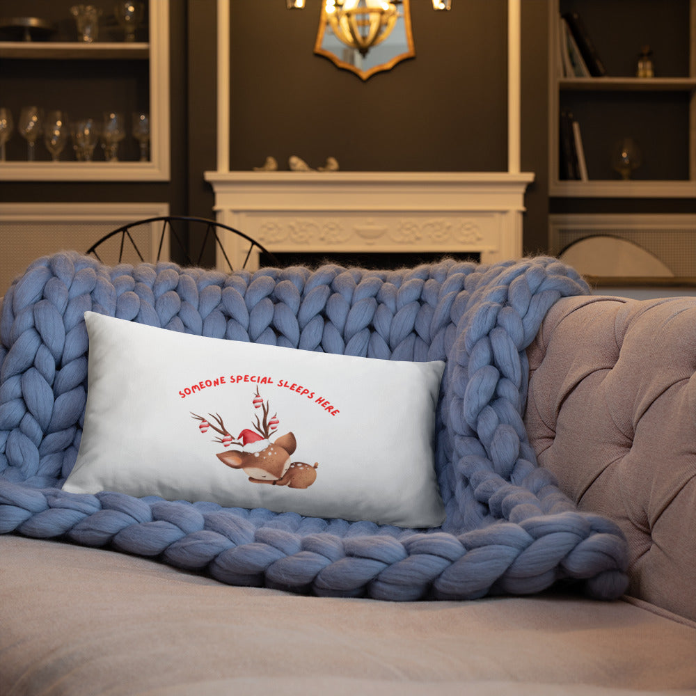 Basic Pillow someone special sleeps here