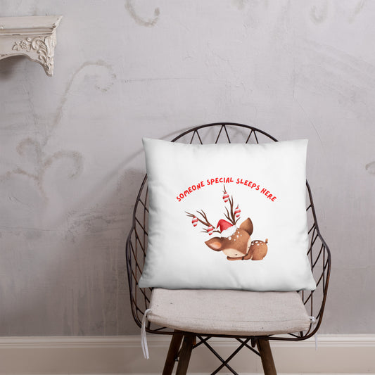 Basic Pillow someone special sleeps here
